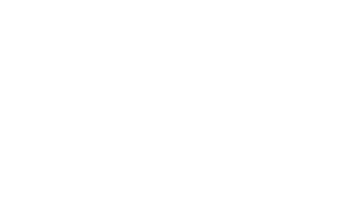 Aero Club logo